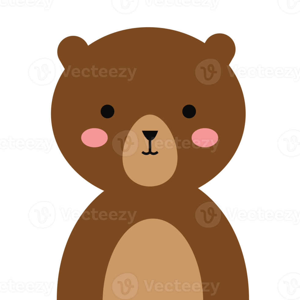 Cute bear flat design. Animal character png