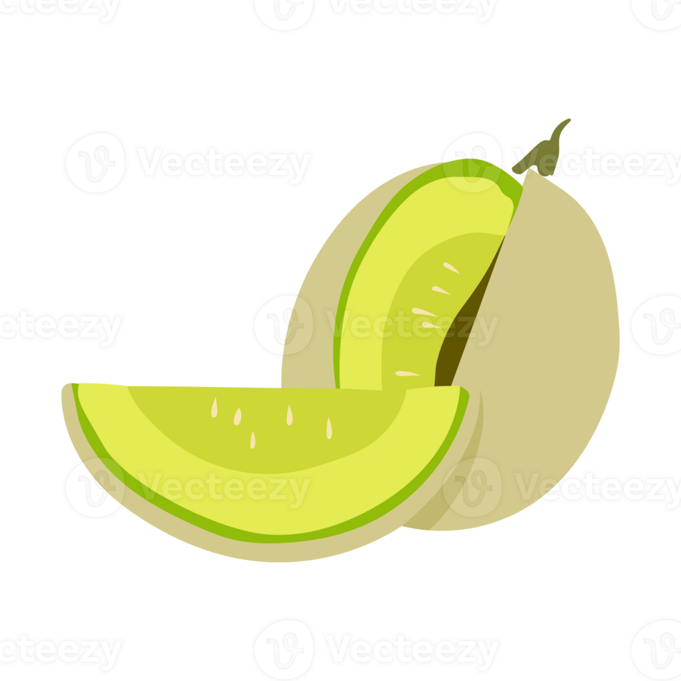 Melon fruit. fruit in a simple illustration with gradient color png