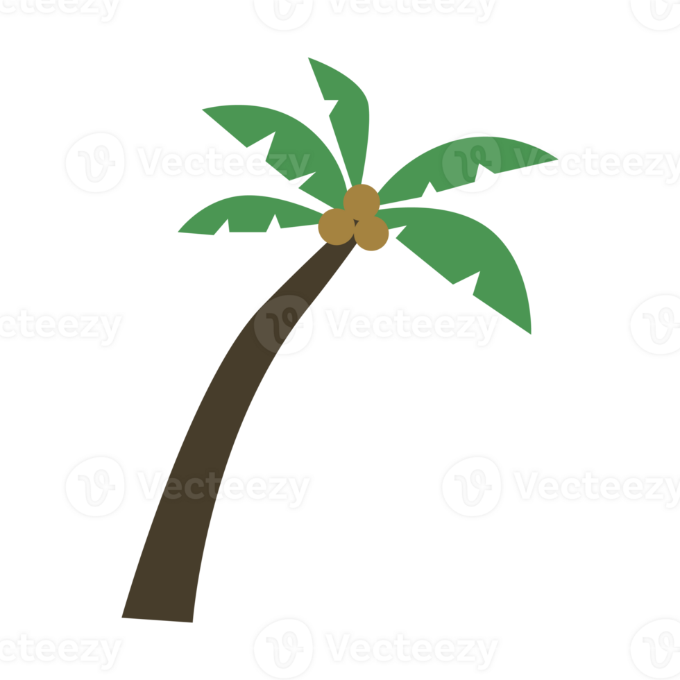 illustration-of-coconut-palm-10950088-png