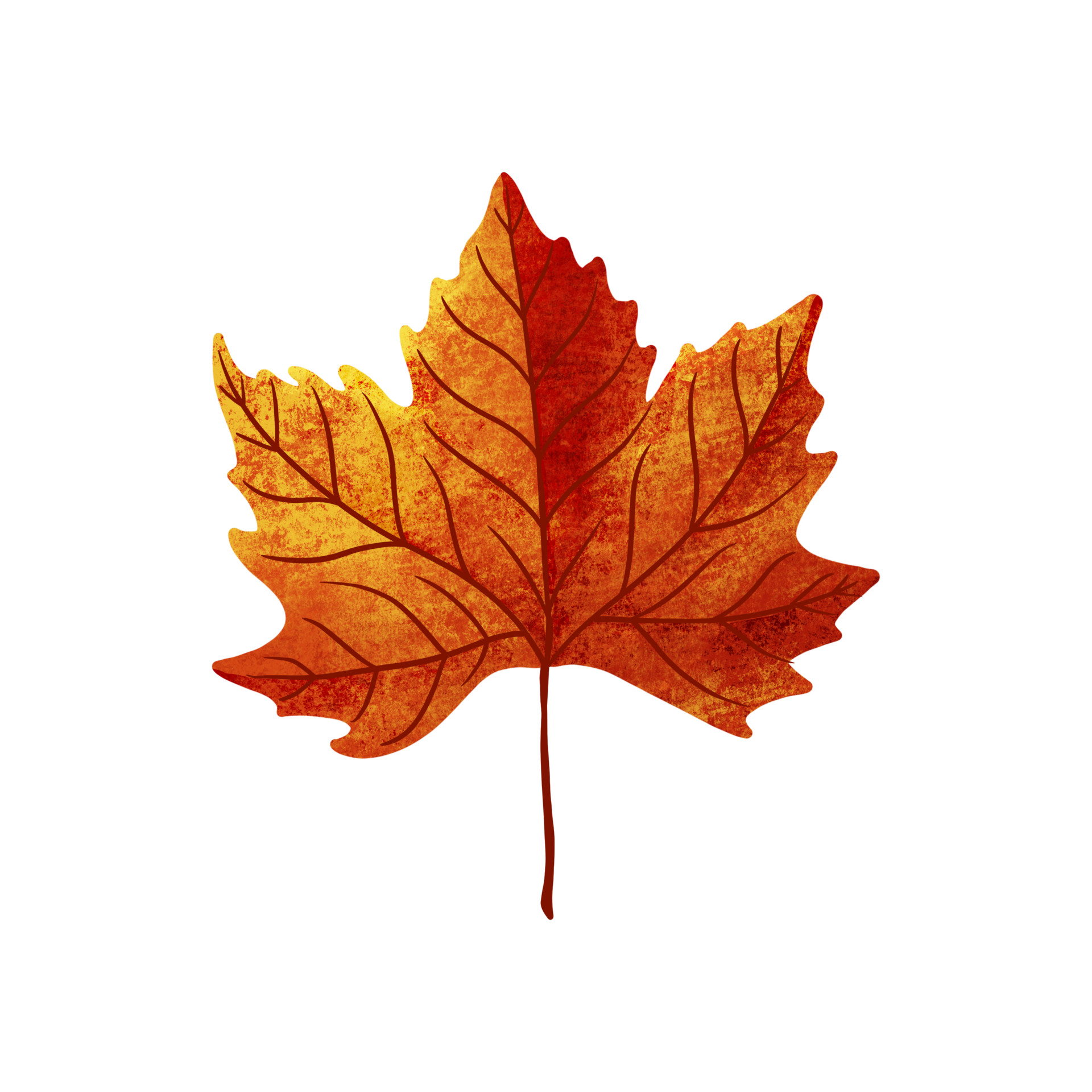 leaf illustration in orange color for autumn design element 10950225 PNG
