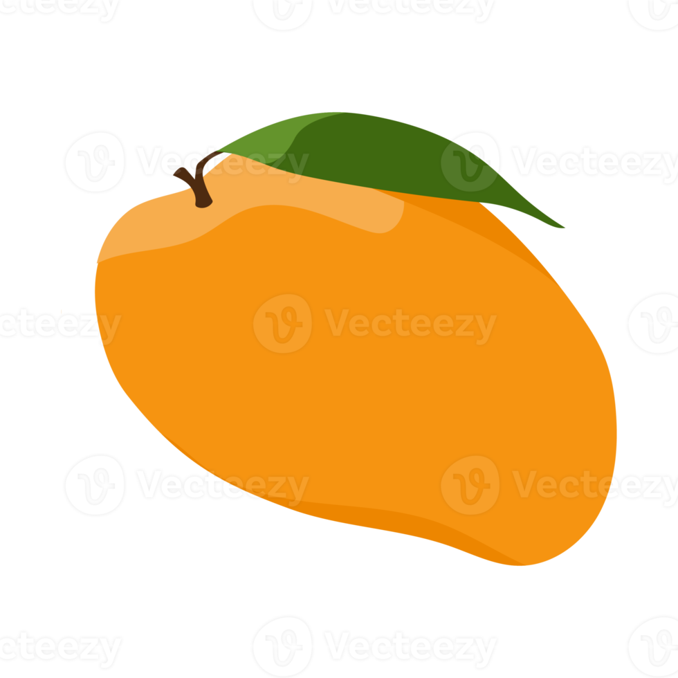 mango fruit. the tropical fruits illustration. colorfull fruit animation. png