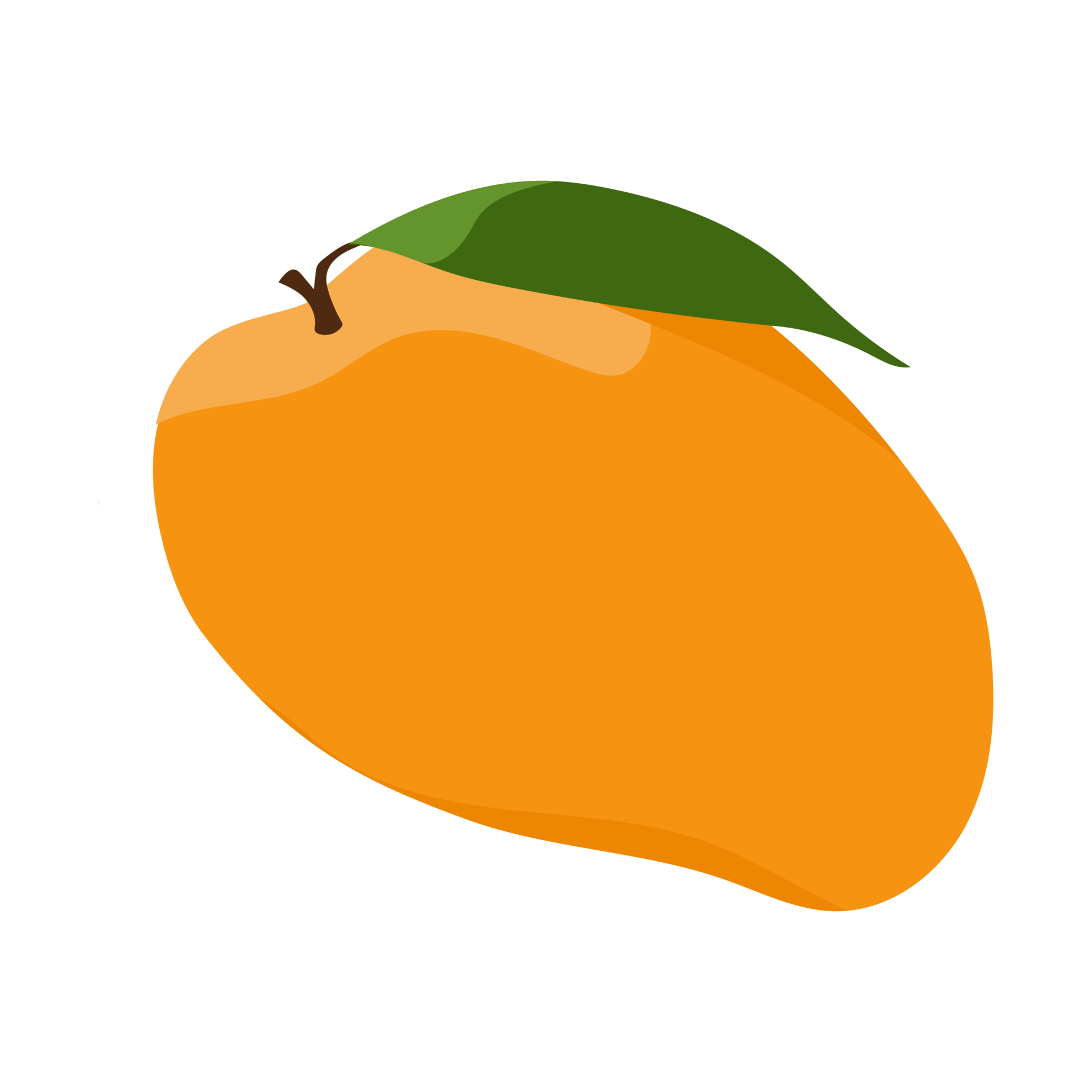 Free mango fruit. the tropical fruits illustration. colorfull fruit  animation. 10950252 PNG with Transparent Background