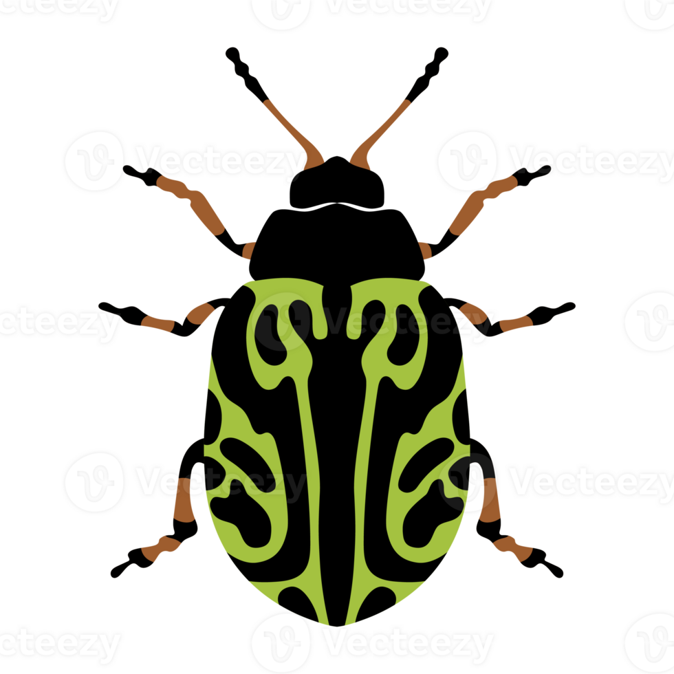 insectes et concept de jardin animés dans un thème coloré. png