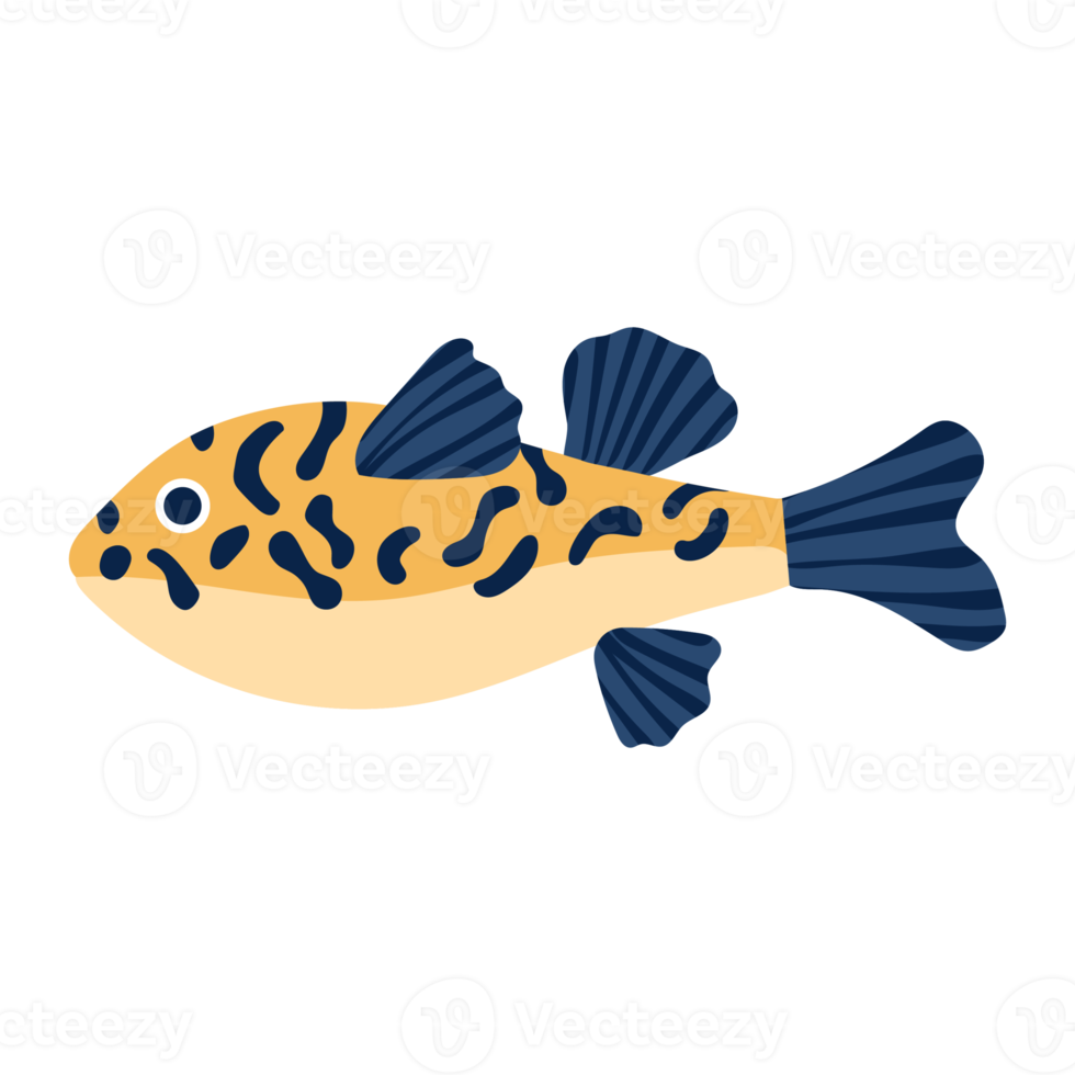 fugu vis. verzameling reeks van koraal vis illustratie. de hand- tekening van onder de zee leven. aanbiddelijk en mooi vissen van marinier leven. png