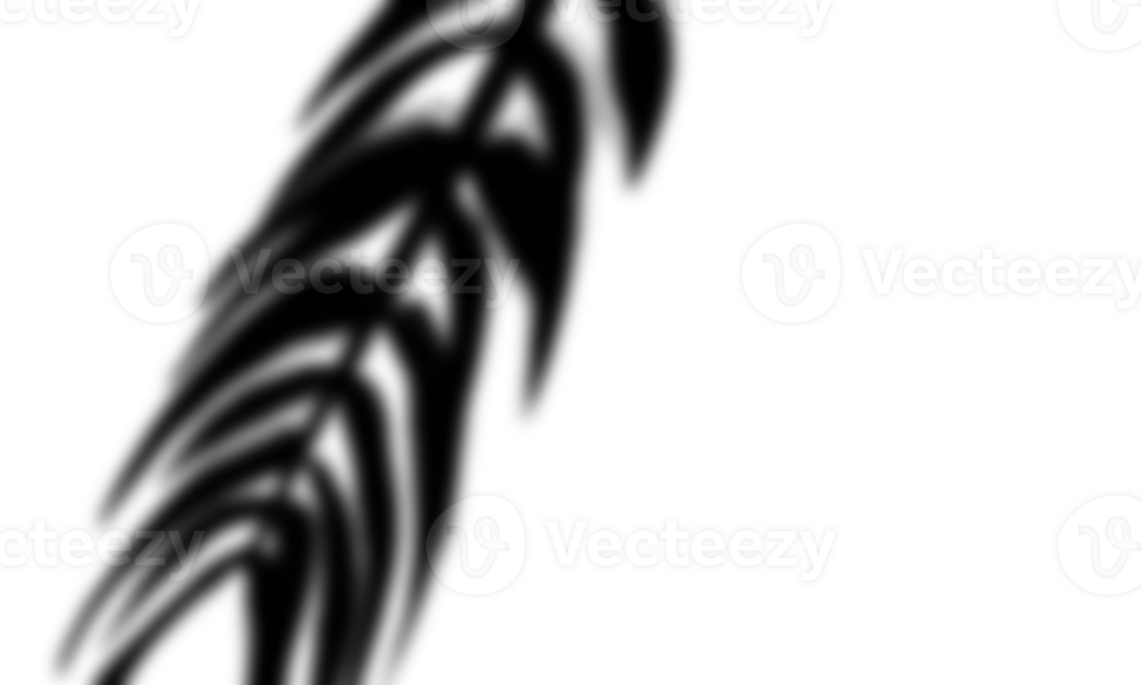 blad skugga transparent för Foto täcka över textur png
