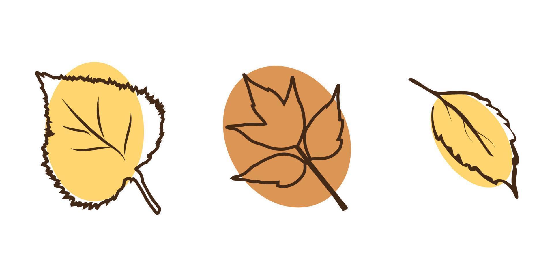 elements of botany autumn style line art birch maple leaf can be used for postcards posters vector