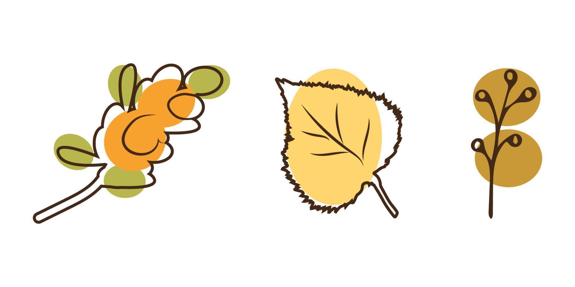 elements of botany autumn style line art birch leaf sea buckthorn branch can be used for postcards posters vector