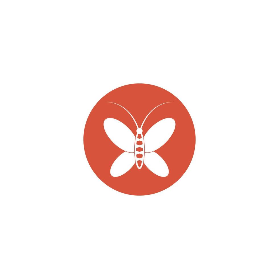 butterfly logo  vector