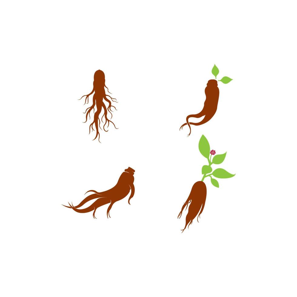 icono de ginseng fondo del logotipo del dragón, diseño de plantilla de ilustración vectorial vector