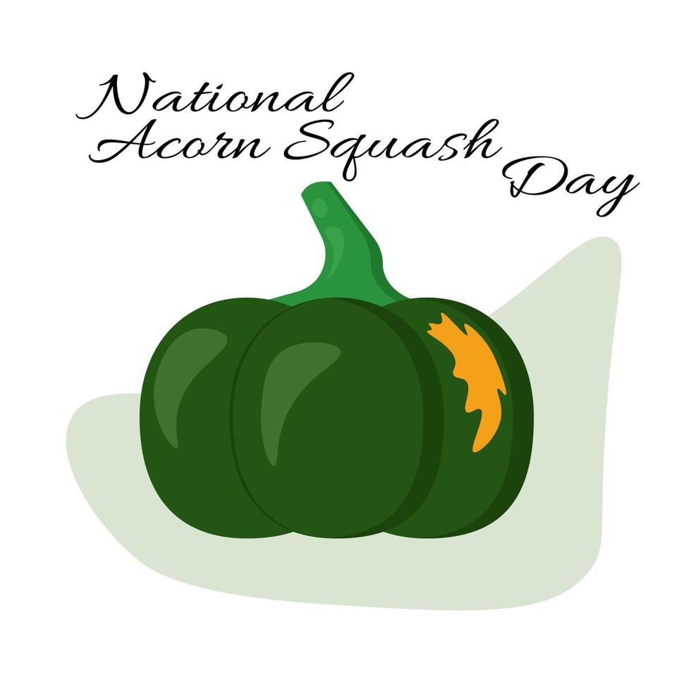 National Acorn Squash Day, juicy pumpkin for a traditional autumn dish vector