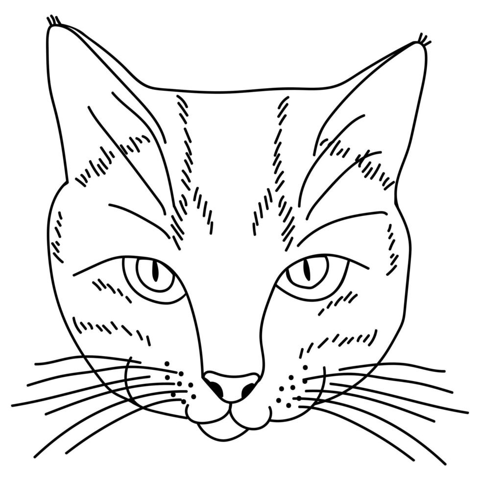 Outline cat portrait, muzzle of a kitten in a linear style vector