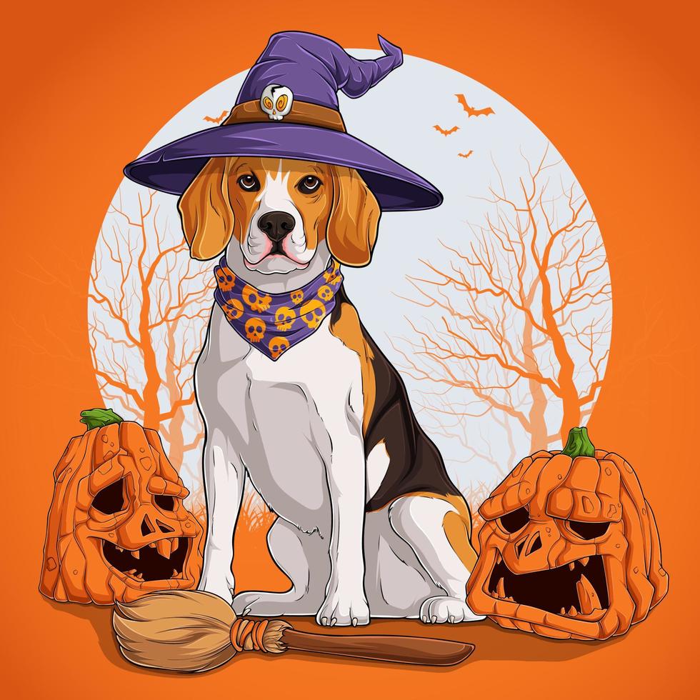 perro beagle disfrazado de halloween sentado en una escoba y usando sombrero de bruja con calabazas a los lados vector