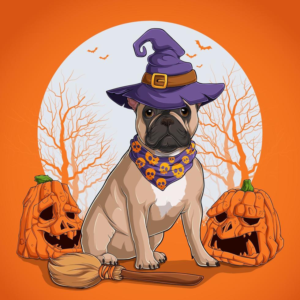 French Bulldog in Halloween disguise sitting on a broom and wearing witch hat with pumpkins vector