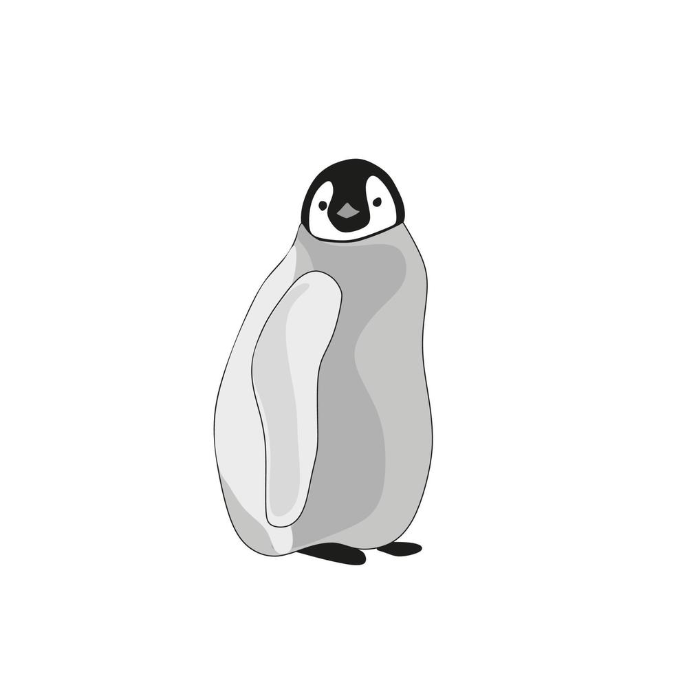 joven pingüino emperador incipiente en estilo plano. ilustración vectorial vector