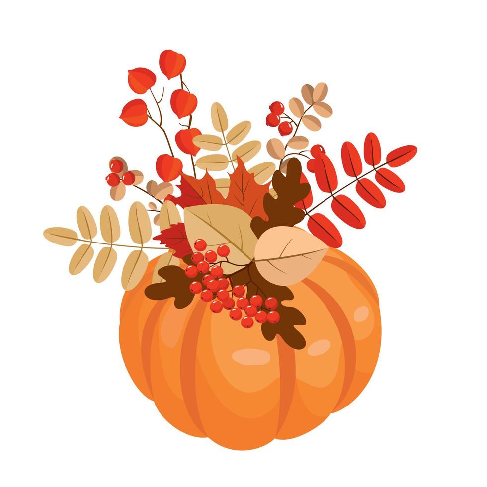 Autumn bouquet of physalis and leaves in a pumpkin. vector