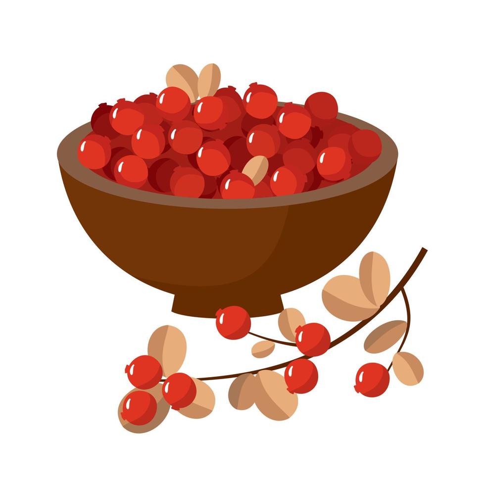 Red cranberry bowl, a sprig of berries. vector