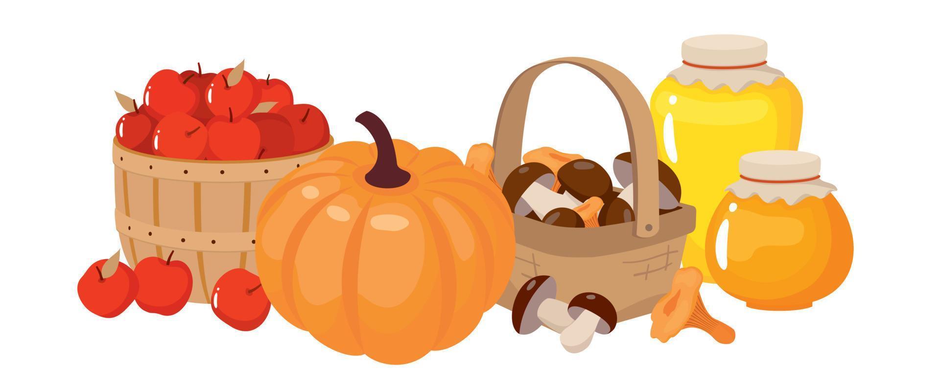 Autumn harvest of pumpkins, apples, mushrooms basket, honey. vector