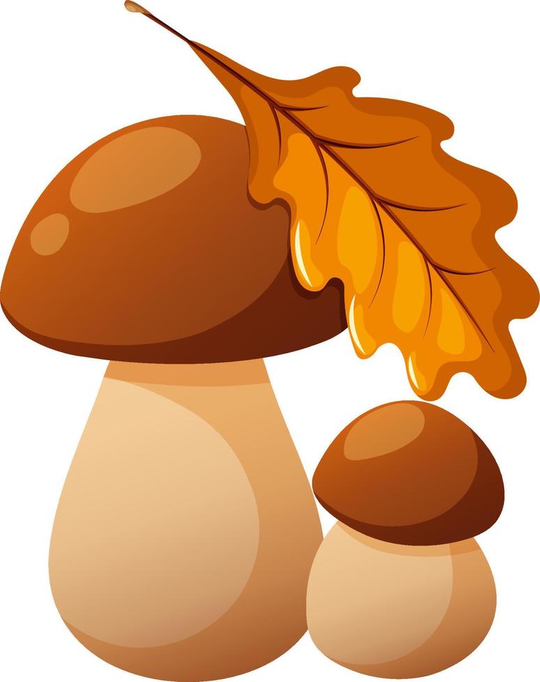 Boletus, porcini mushroom, penny bun with leaf vector