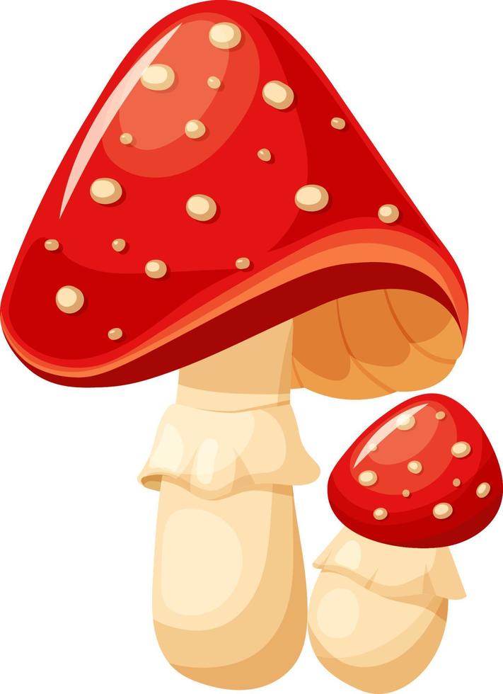 Fly agaric, autumn mushrooms, large and small mushrooms in cartoon style vector