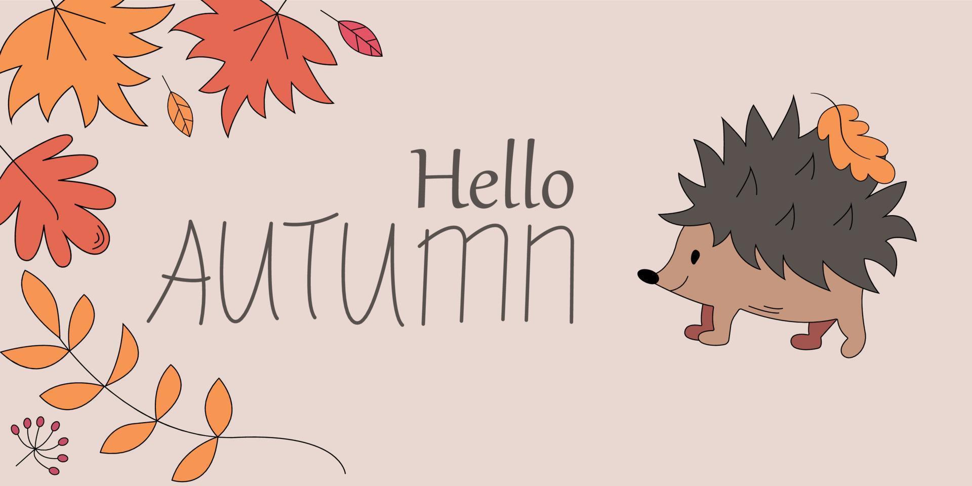 Autumn card with hedgehog. Cute cartoon animal with leaves frame. Child drawing style illustration. Hello autumn card. vector