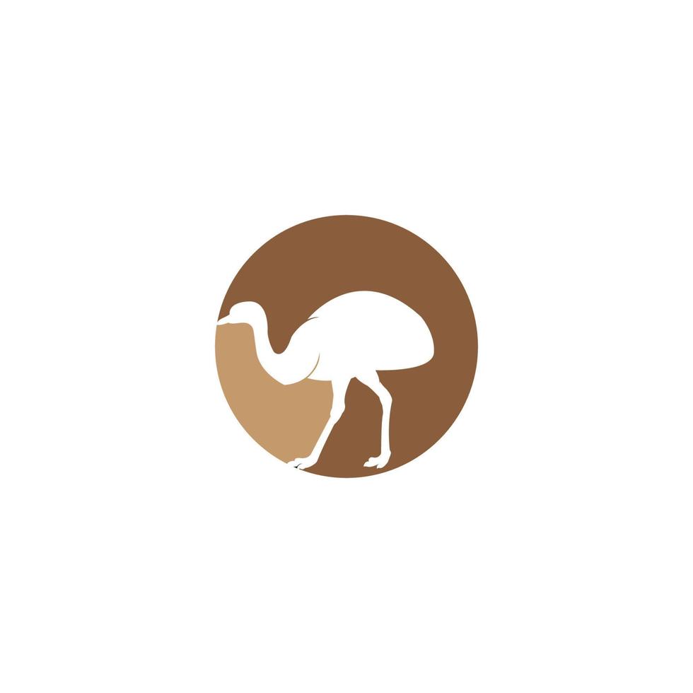 ostrich icon  vector