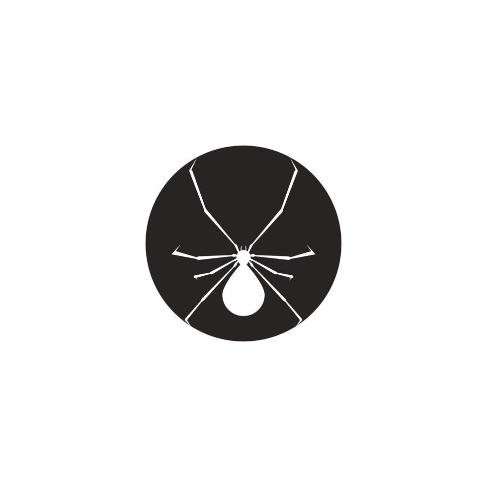 Spider icon  vector