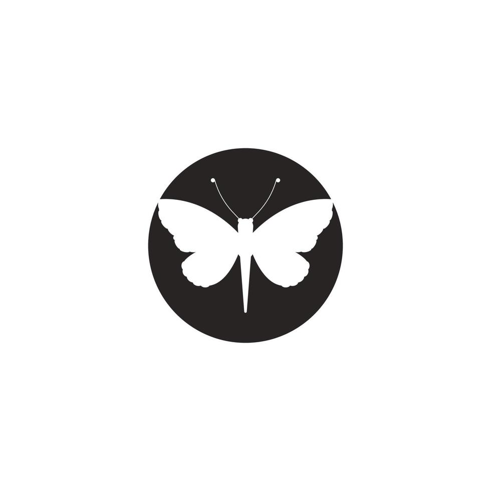 butterfly logo  vector