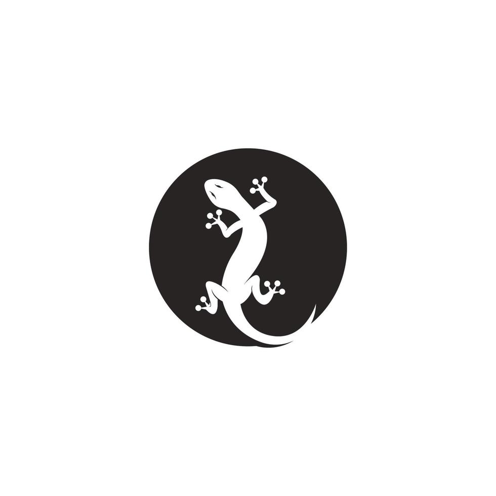 house lizard icon vector