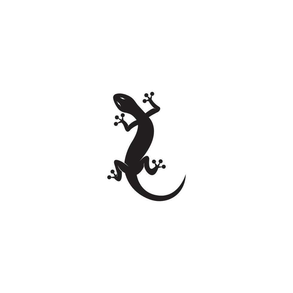 house lizard icon vector