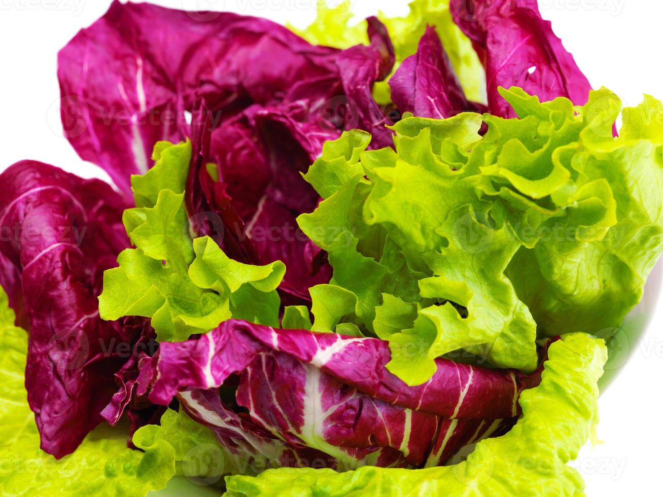 fresh green salad photo