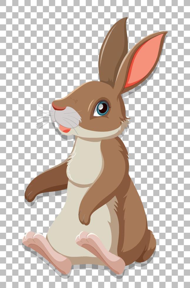 Cute rabbit on grid background vector