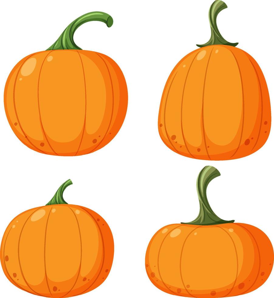 Set of pumpkin on white background vector