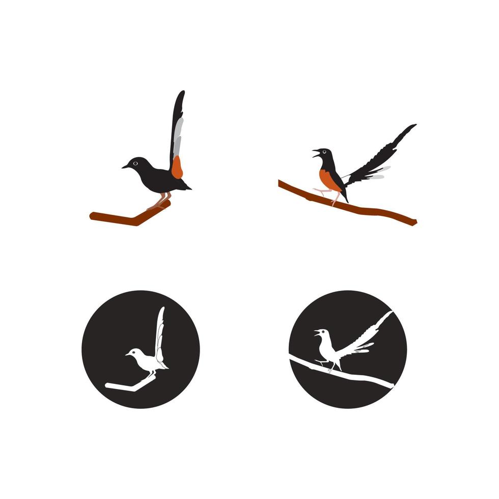 chirping bird icon vector