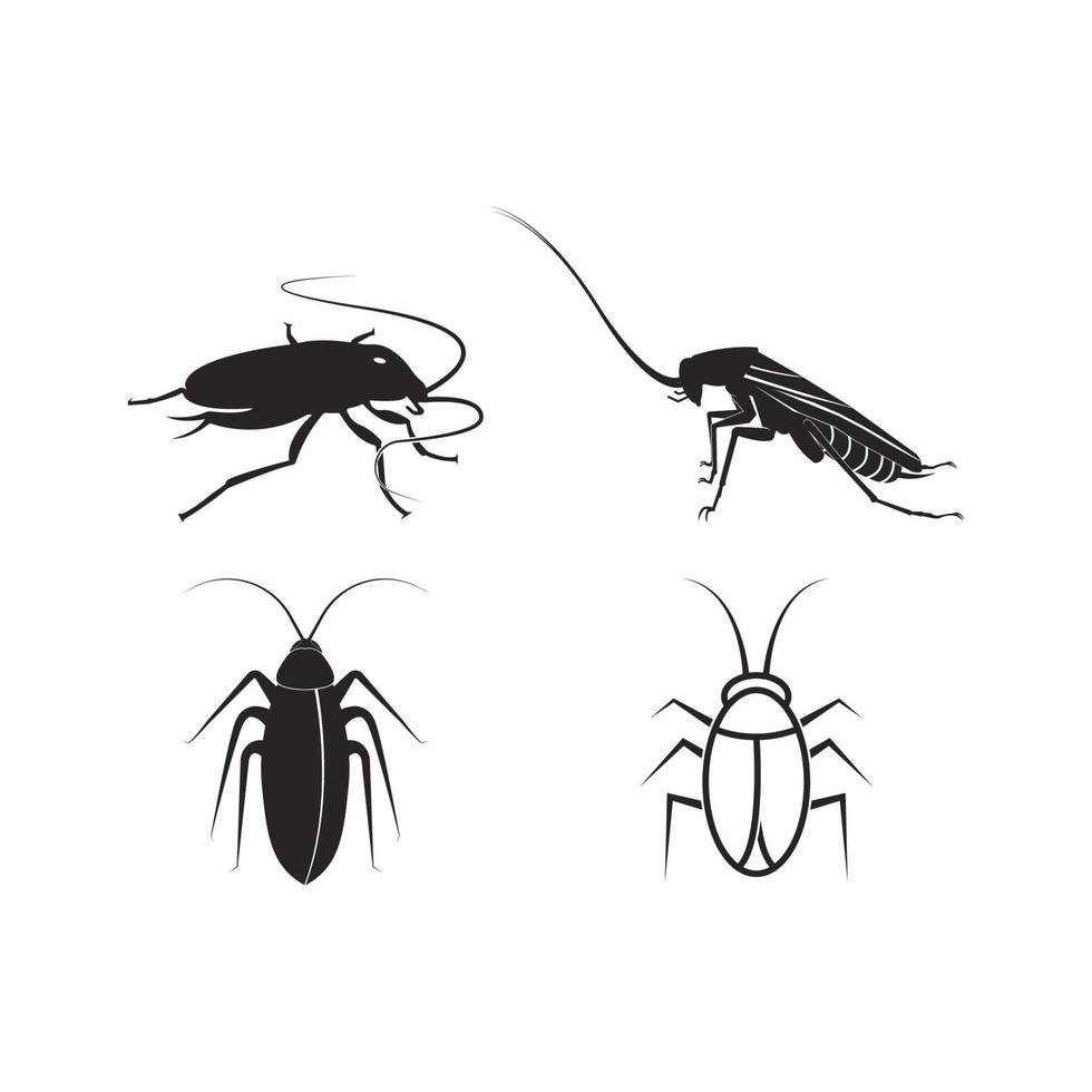 Cockroach icon  vector