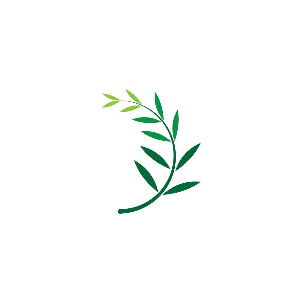 Leaf icon vector illustration symbol design