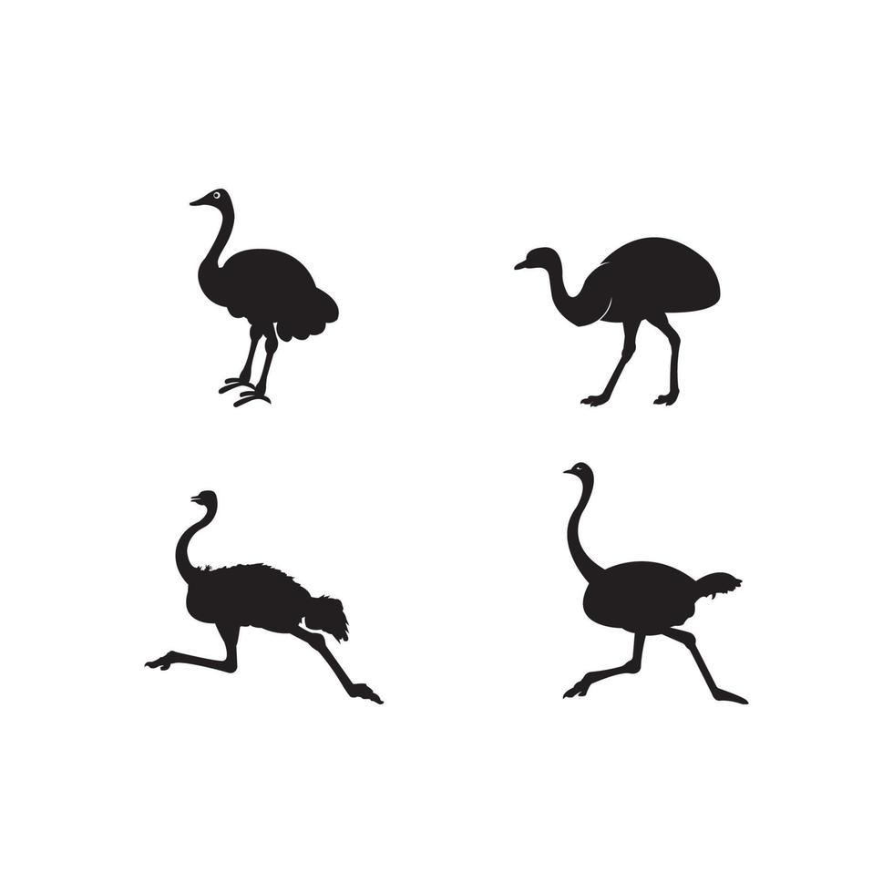 ostrich icon vector