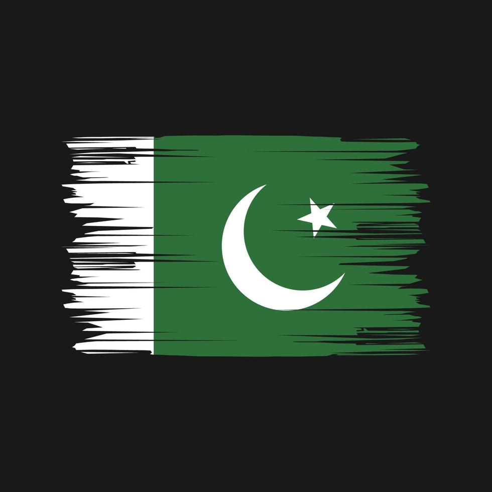 Pakistan Flag Brush Strokes. National Flag vector