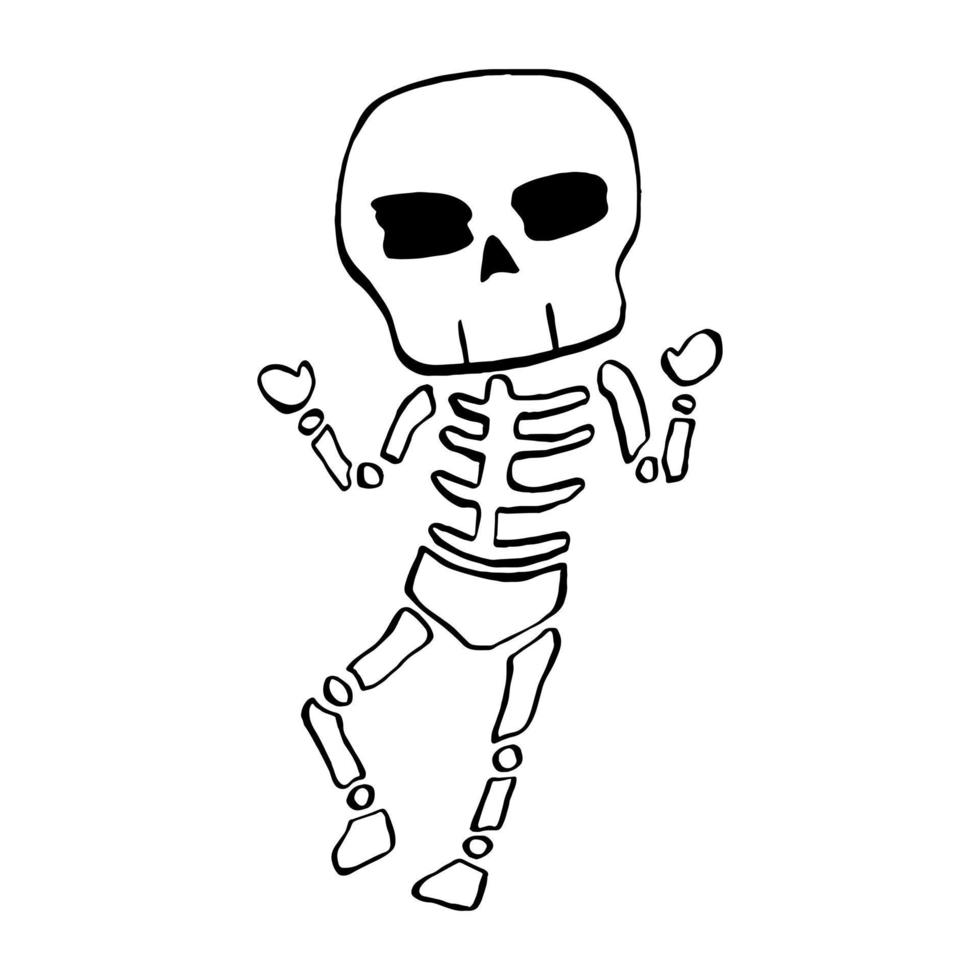 Vector illustration of Halloween Skeleton cartoon line on white background.