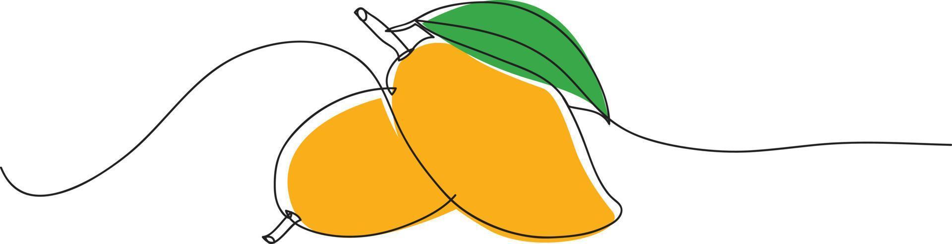 mango line drawing vector illustration.