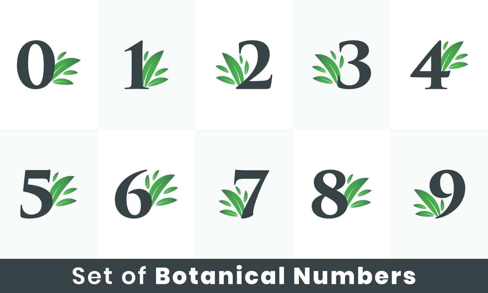 Botanical Leaf Number logo bundle. Green Natural Number logo set A to Z vector
