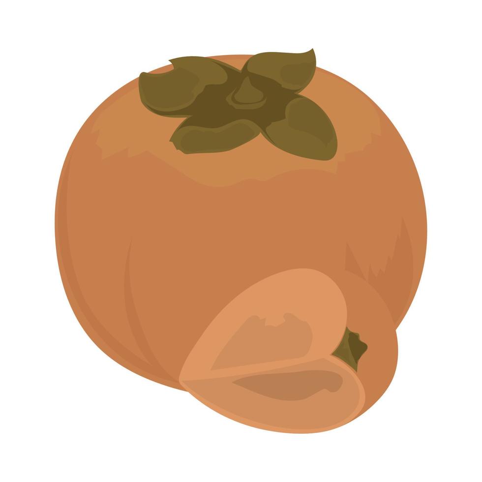 persimmon fruit icon vector