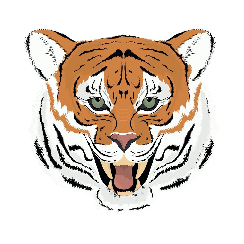 tiger animal icon vector