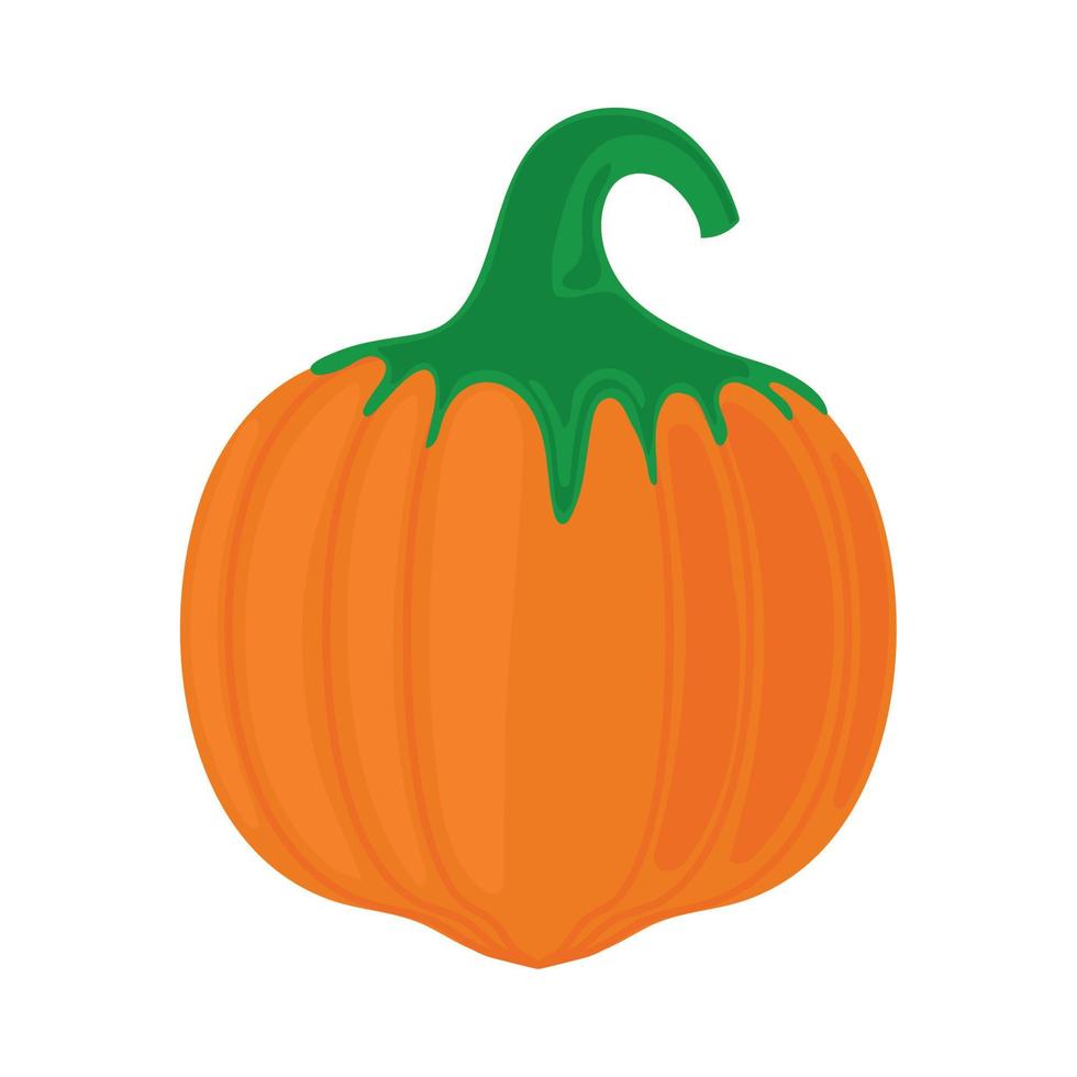 pumpkin icon isolated vector