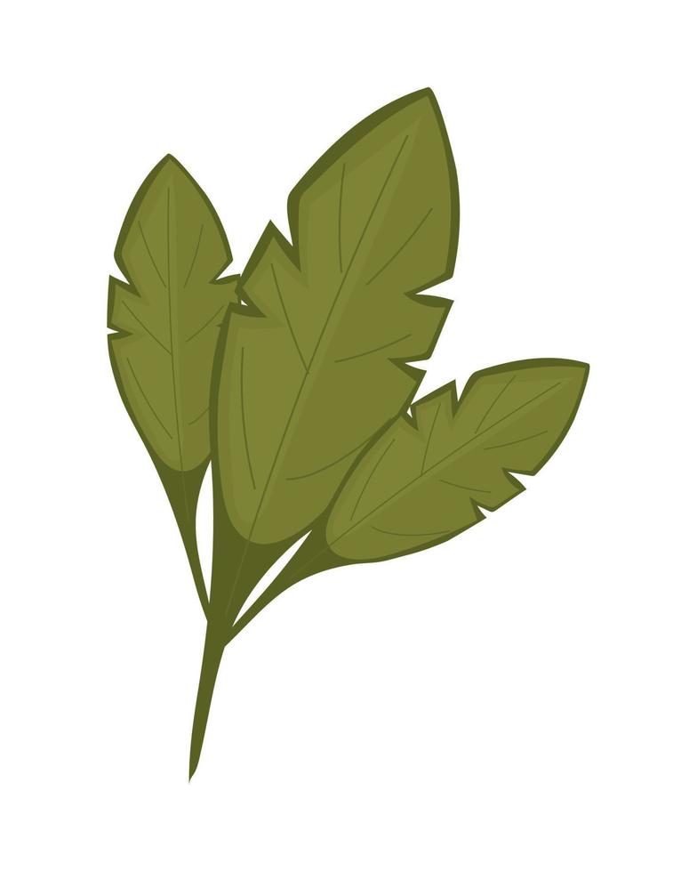 icono de hojas de rama vector