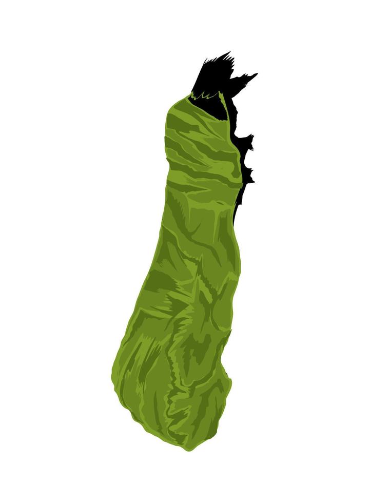 caterpillar to chrysalis vector