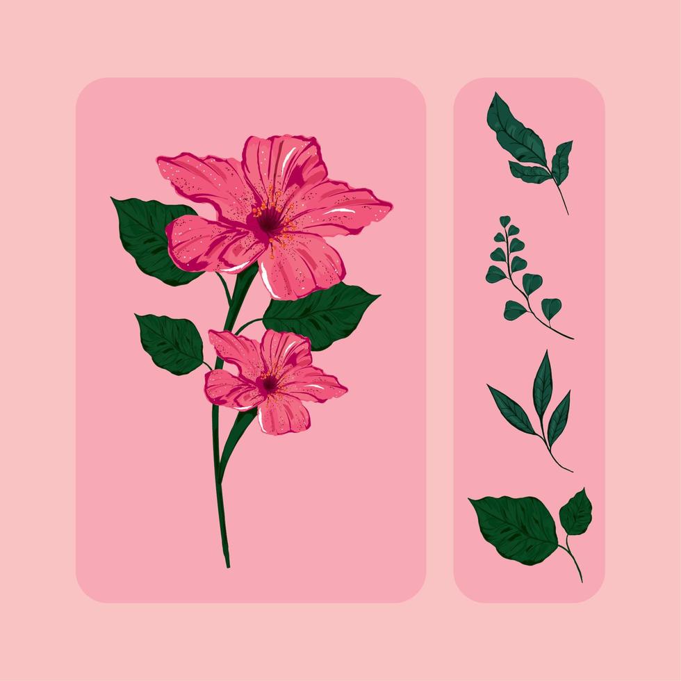 flower and leaves vector