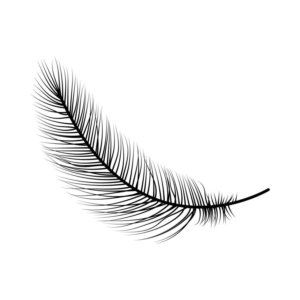 Hand drawn bird feather. Vector illustration.