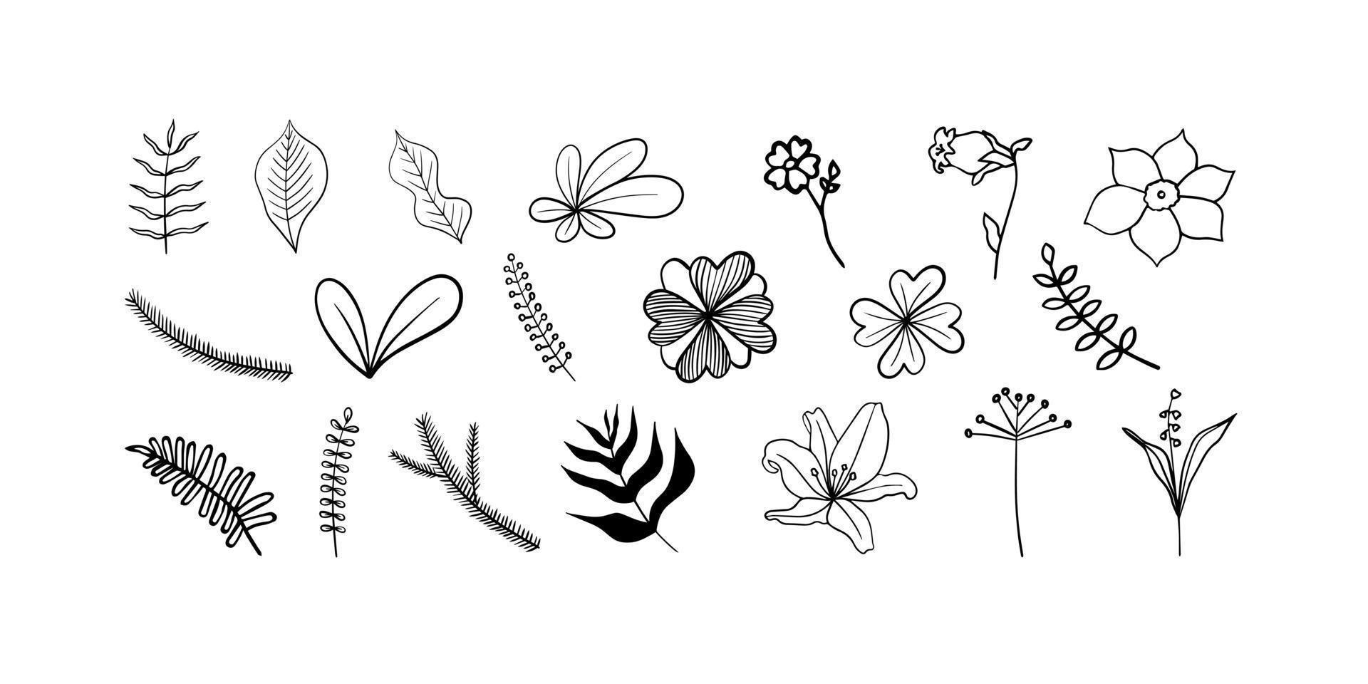 hojas orgánicas, flores, plantas. conjunto de elementos dibujados a mano de moda. vector. vector