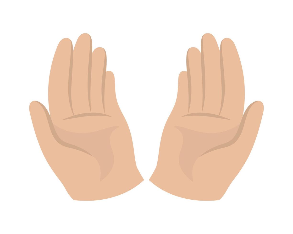 human hands open vector