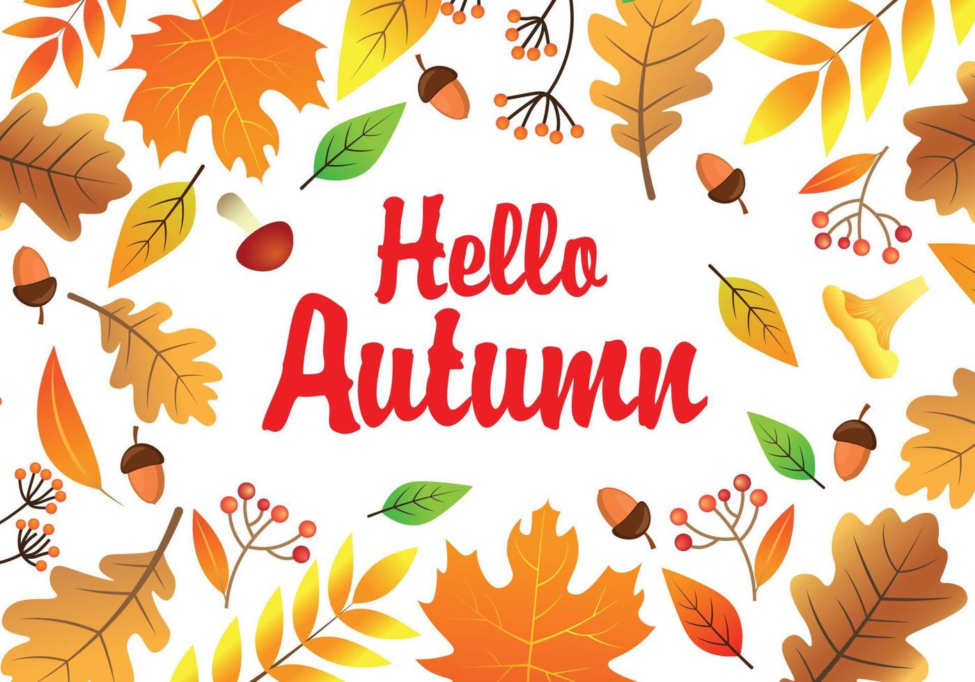 Hello Autumn Vector Colorful Decorative Leaves and Acorns Template Poster or Card